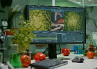 Синоптиком для фермеров стремится стать ИИ Синоптиком для фермеров стремится стать ИИ